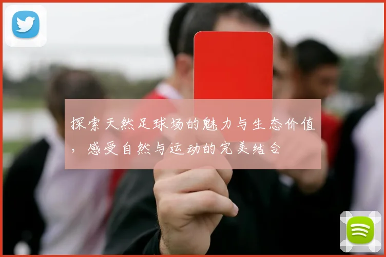 探索天然足球场的魅力与生态价值，感受自然与运动的完美结合